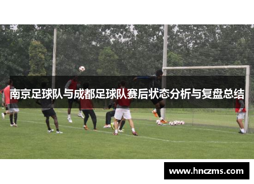 南京足球队与成都足球队赛后状态分析与复盘总结